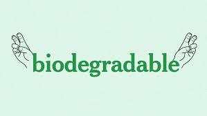 Contenants alimentaires biodégradables en pulpe de canne à sucre