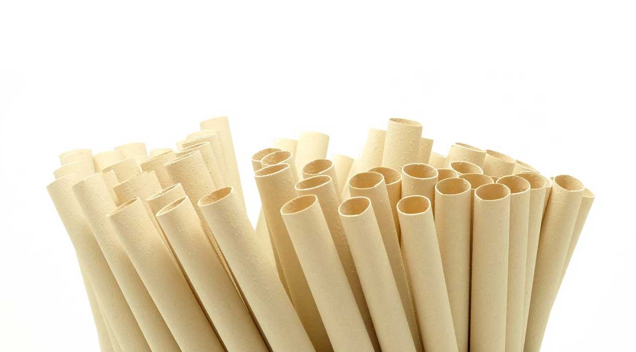 Pailles écologiques en fibre de bambou Fpacksolution